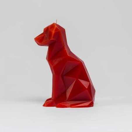 Voffi le chien - Bougie squelette