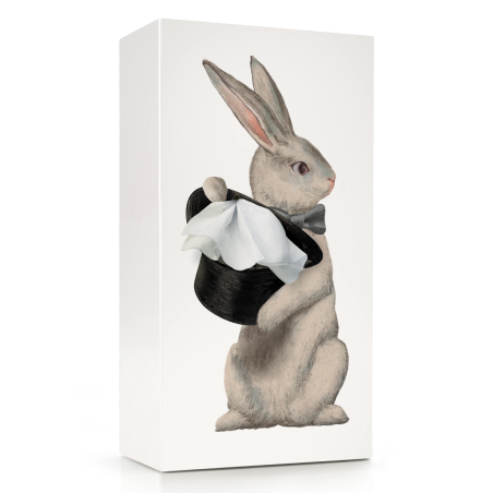Tissue up Tale Alice Rabbit