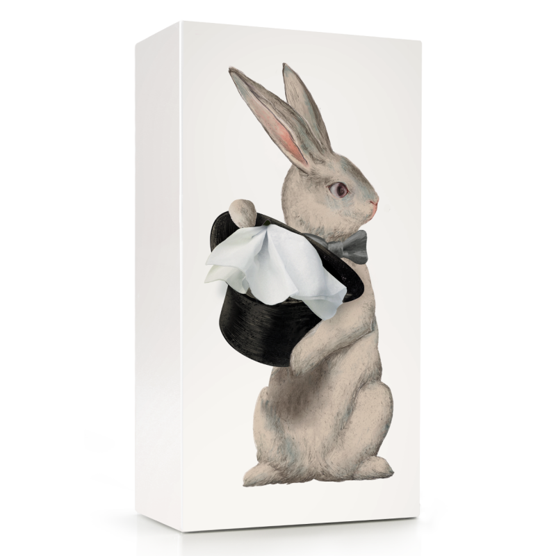 Tissue up Tale Alice Rabbit