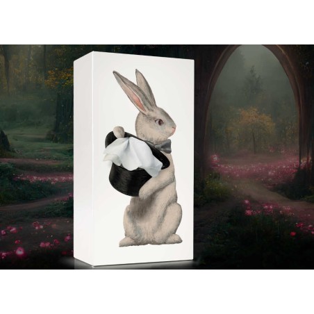 Tissue up tale Alice Rabbit - boite à mouchoirs lapin