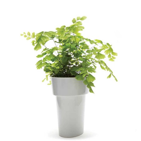 Slim Pot gris - Pot de fleur oval avec soucoupe intégrée