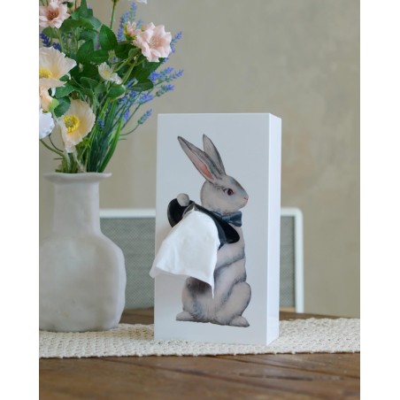 Tissue up tale Alice Rabbit - boite à mouchoirs lapin