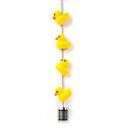 Steely Dan Ducky