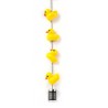 Steely Dan Ducky