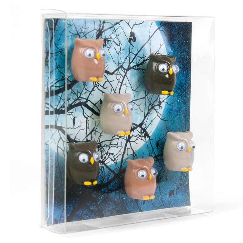 6 x Chouette magnet frigo aimant animaux pour enfant - Aimants