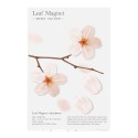 Leaf Magnet Lierre