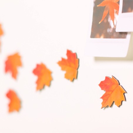 Leaf Magnet