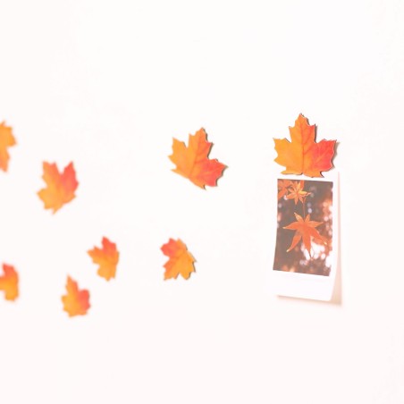 Leaf Magnet