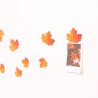 Leaf Magnet
