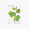 Leaf Magnet