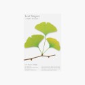 Leaf Magnet Ginkgo