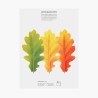 Bookmark Pen Chêne