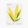 Bookmark Pen Bambou