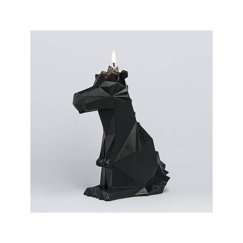 Pyropet - Dreki